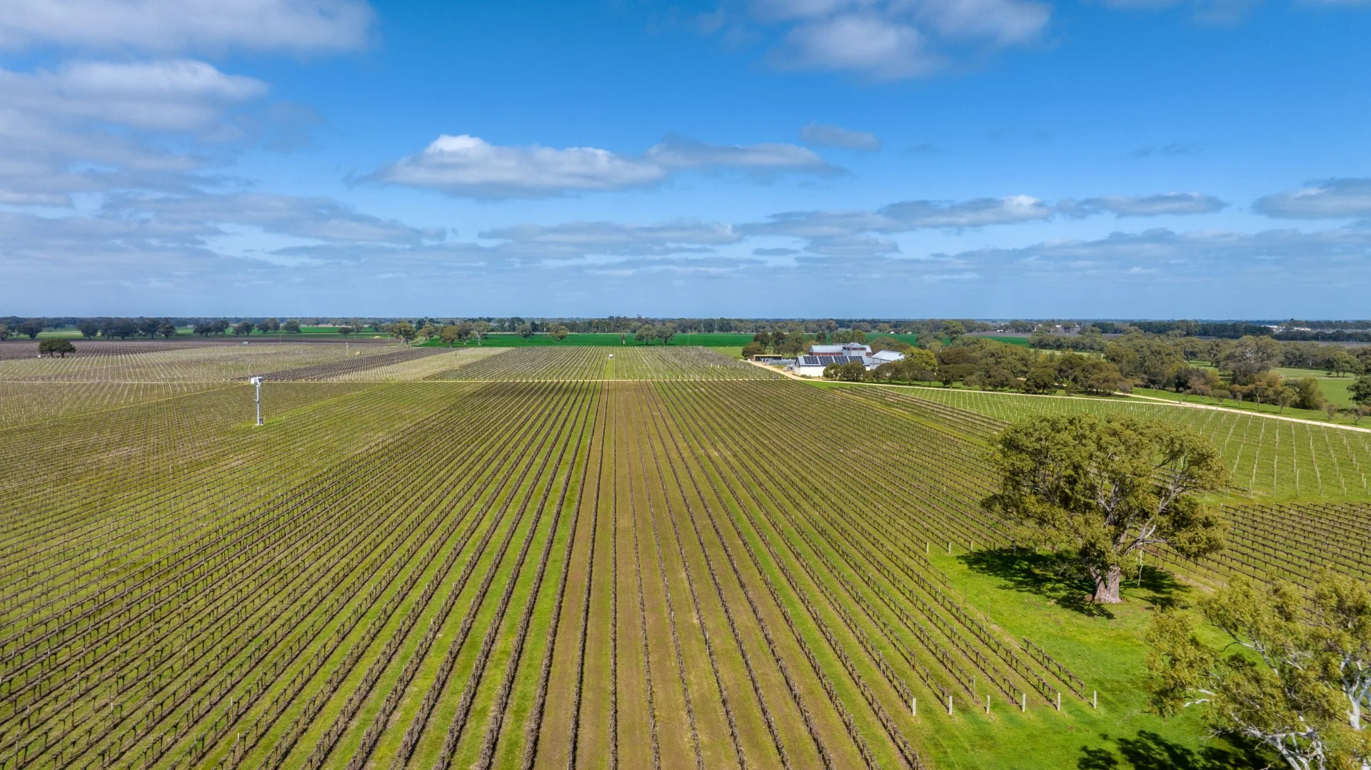 Additional image 30 of 148 McLean Road, Coonawarra SA 5263