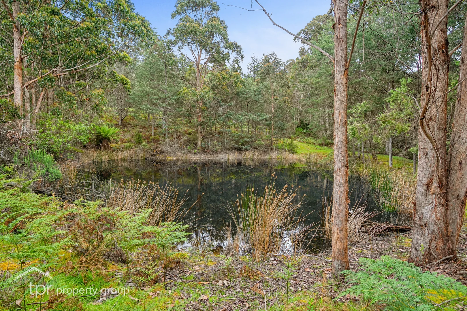 Additional image 17 of Lot 1 Cairns Road, Surges Bay TAS 7116