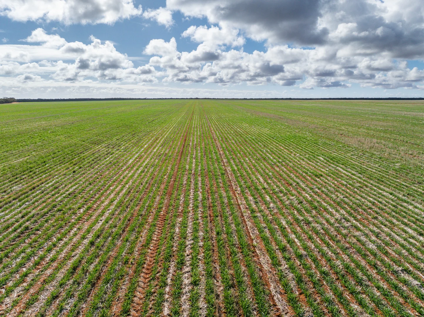 Additional image 7 of 2423 Petro Mail Road, Arumpo NSW 2715