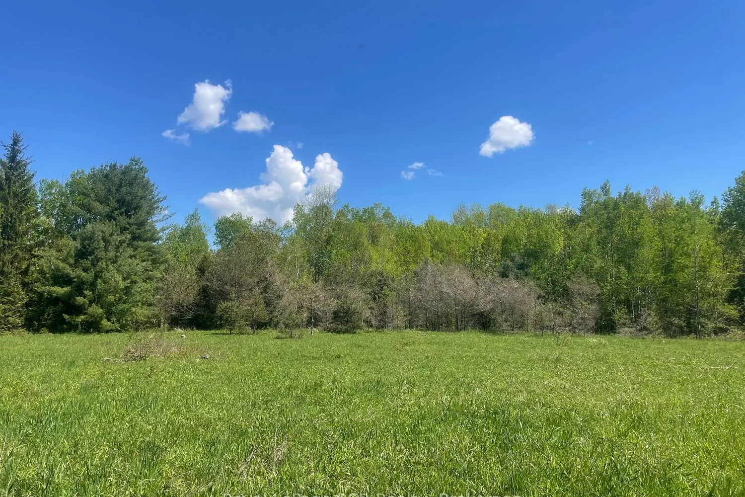 Additional image 17 of N/A Sunny Valley Road