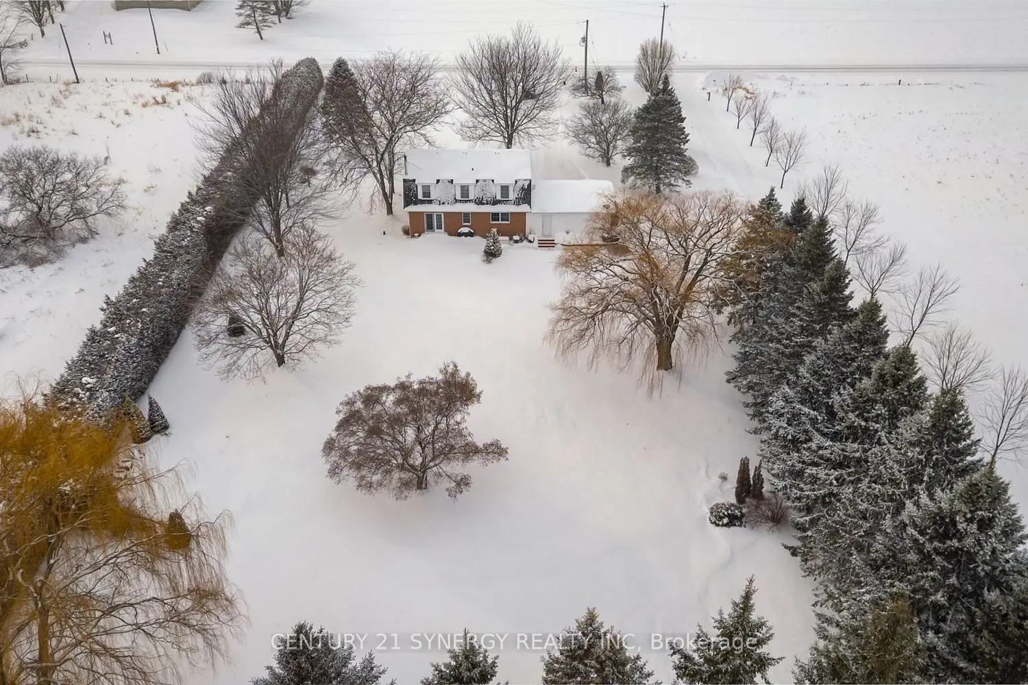 Additional image 20 of 183 Hamilton Road