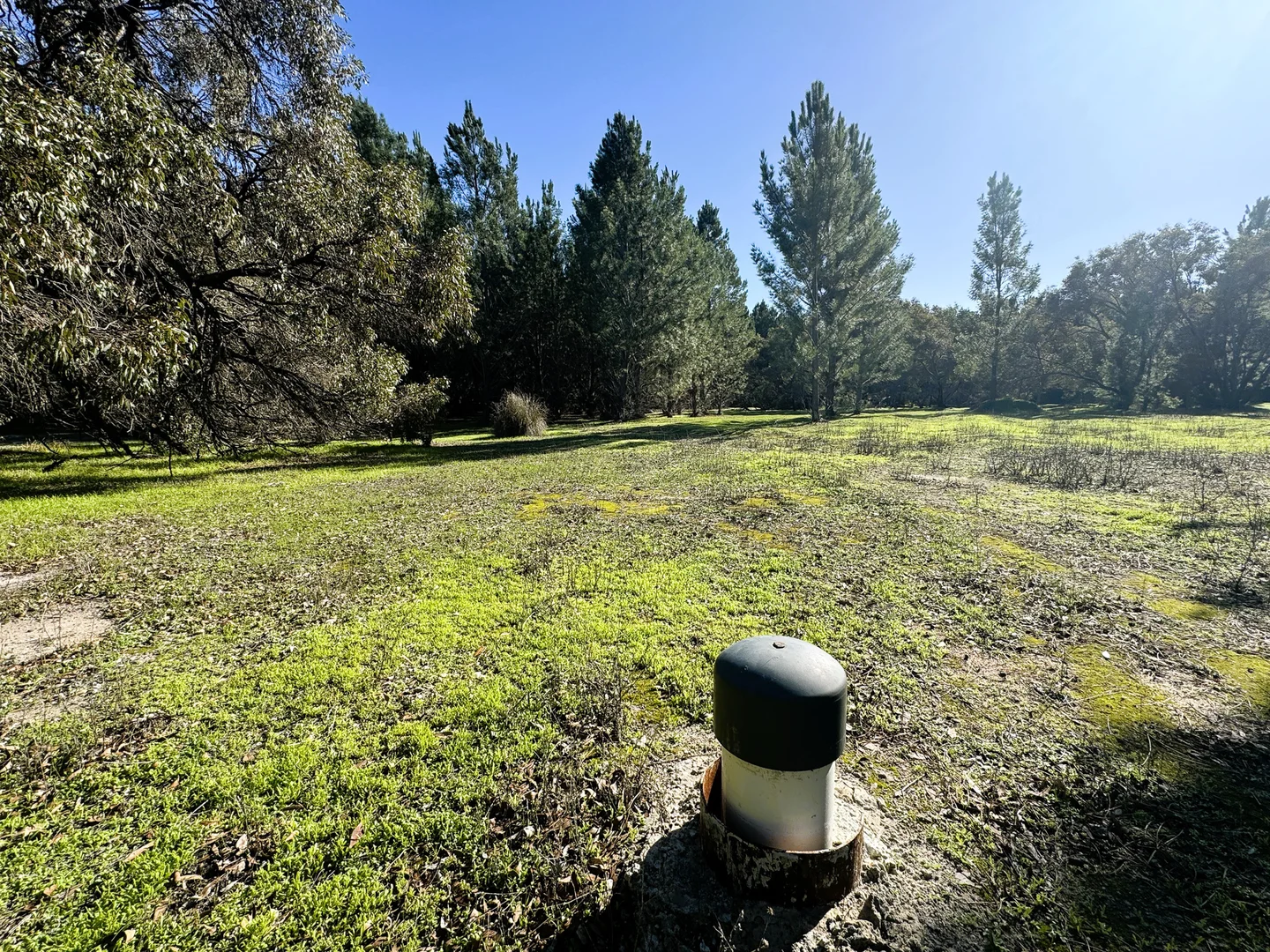 Additional image 10 of 2240 Mimegarra Road, Mimegarra WA 6507