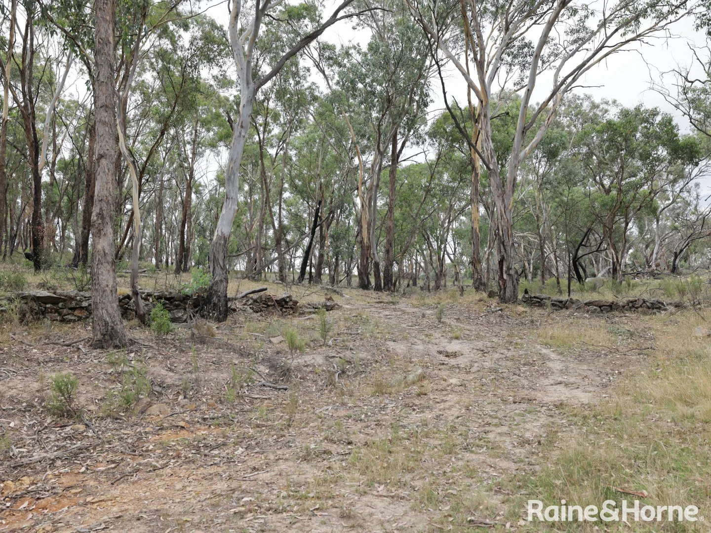 Additional image 19 of 260 & 262 Alpha Road, Tambaroora NSW 2850