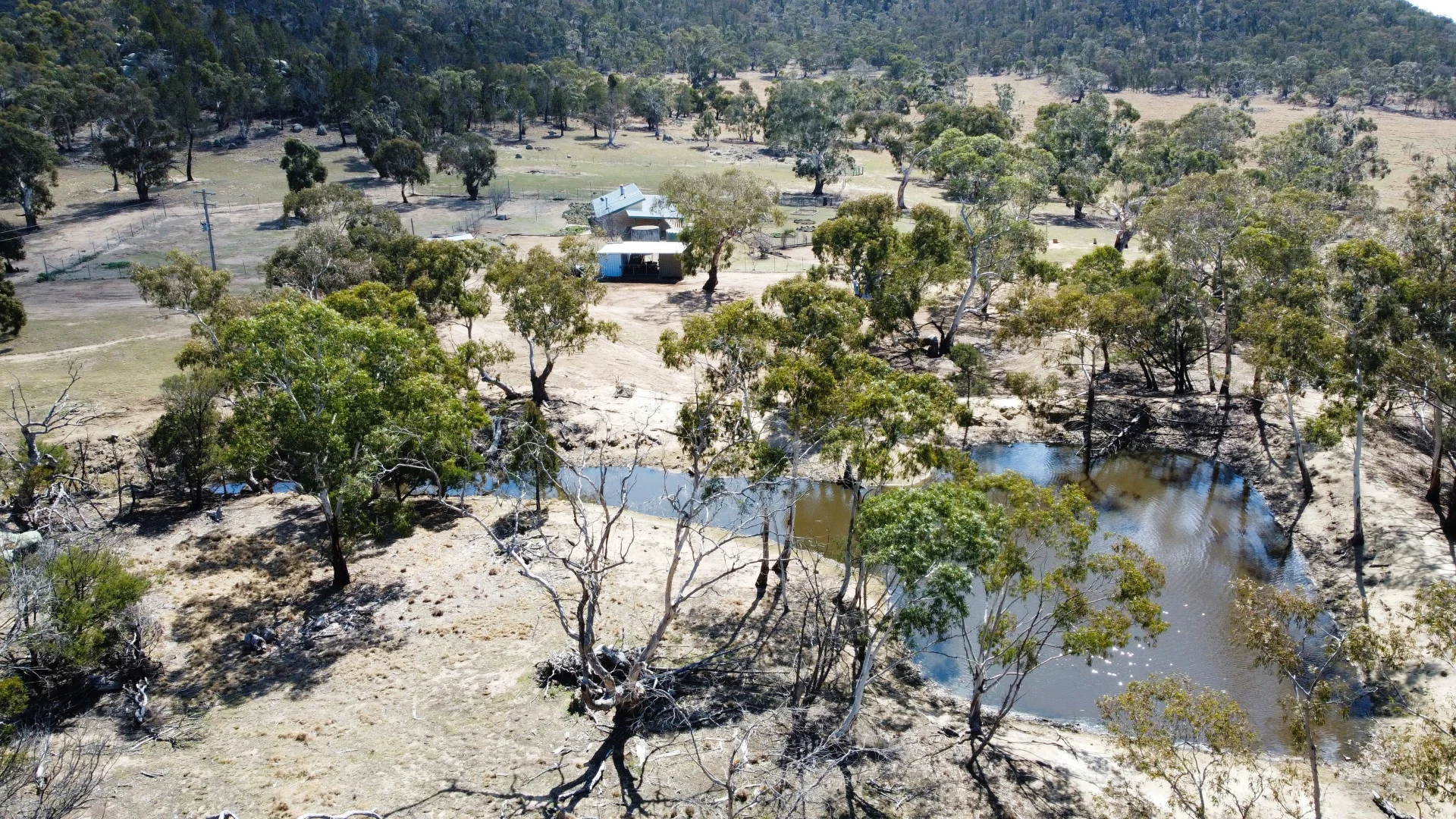 Additional image 27 of 49 Greystone Road, Binjura NSW 2630