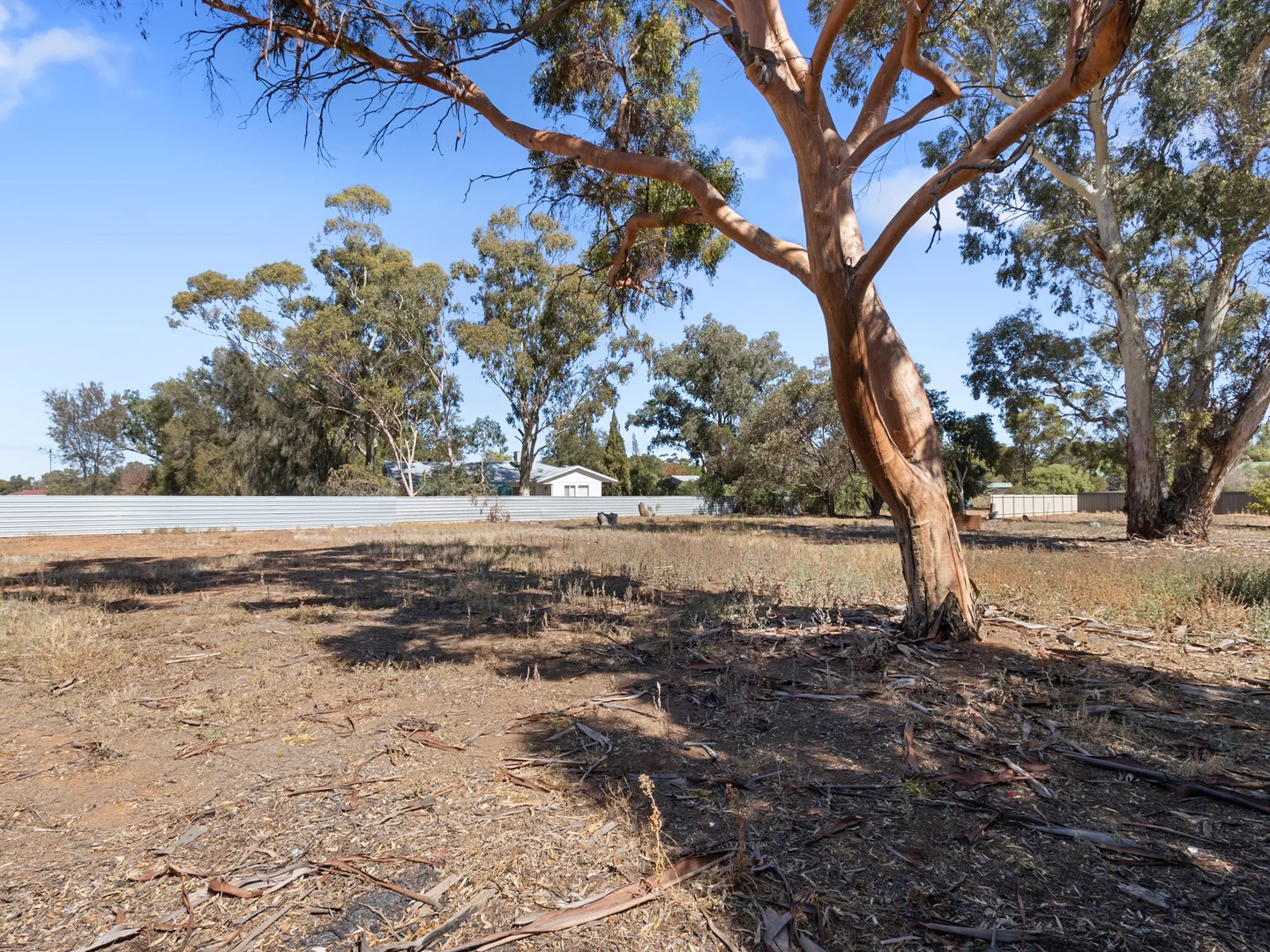 Additional image 23 of 10 Cambridge Street, Jamestown SA 5491