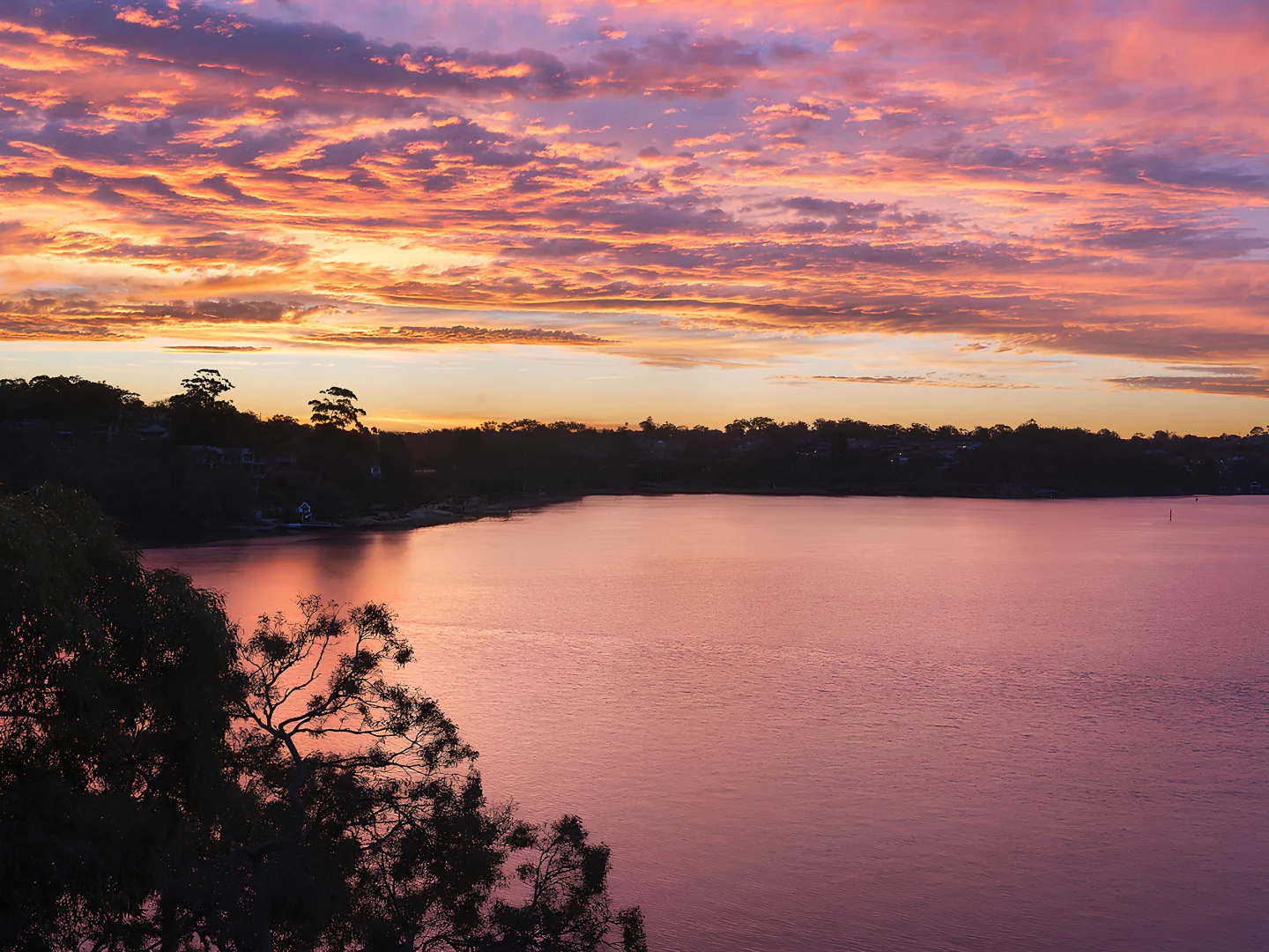 Additional image 12 of 2 Ilma Avenue, Kangaroo Point NSW 2224