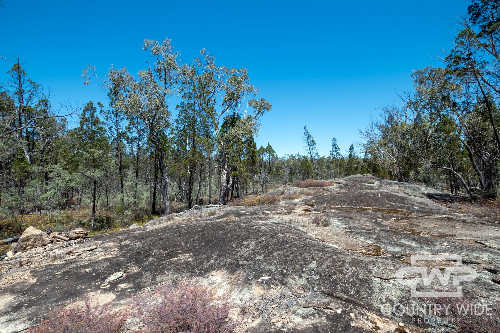 Additional image 14 of 11 Old Stannifer Road, Gilgai NSW 2360