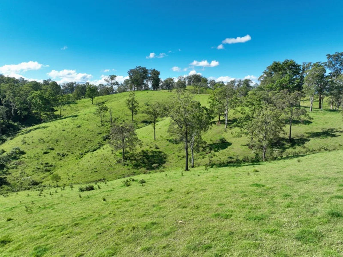 Additional image 9 of 59 Wyndham Road, Wyneden NSW 2474