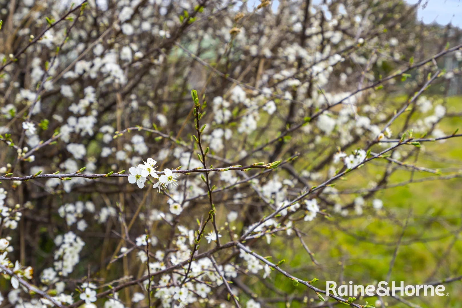 Additional image 14 of 68 Kent Street, Buckland TAS 7190