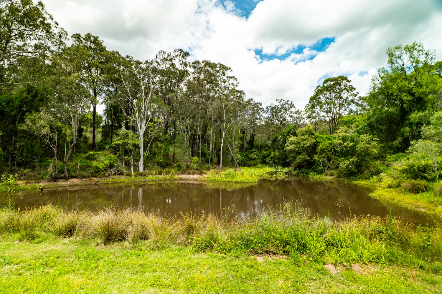 Additional image 29 of 22 Waterhouse Rd, Summerholm QLD 4341