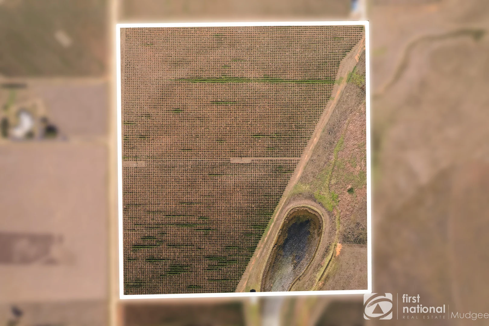 Additional image 12 of 70 Shiraz Drive, Gulgong NSW 2852