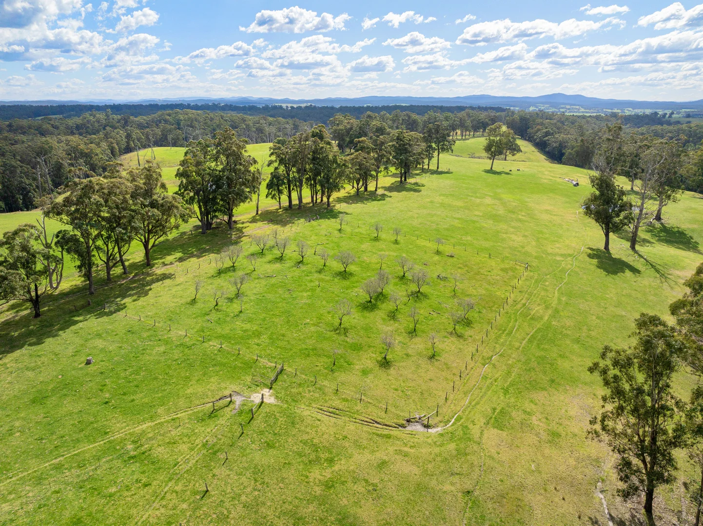 Additional image 17 of 164 Joiners Road, Newmerella VIC 3886