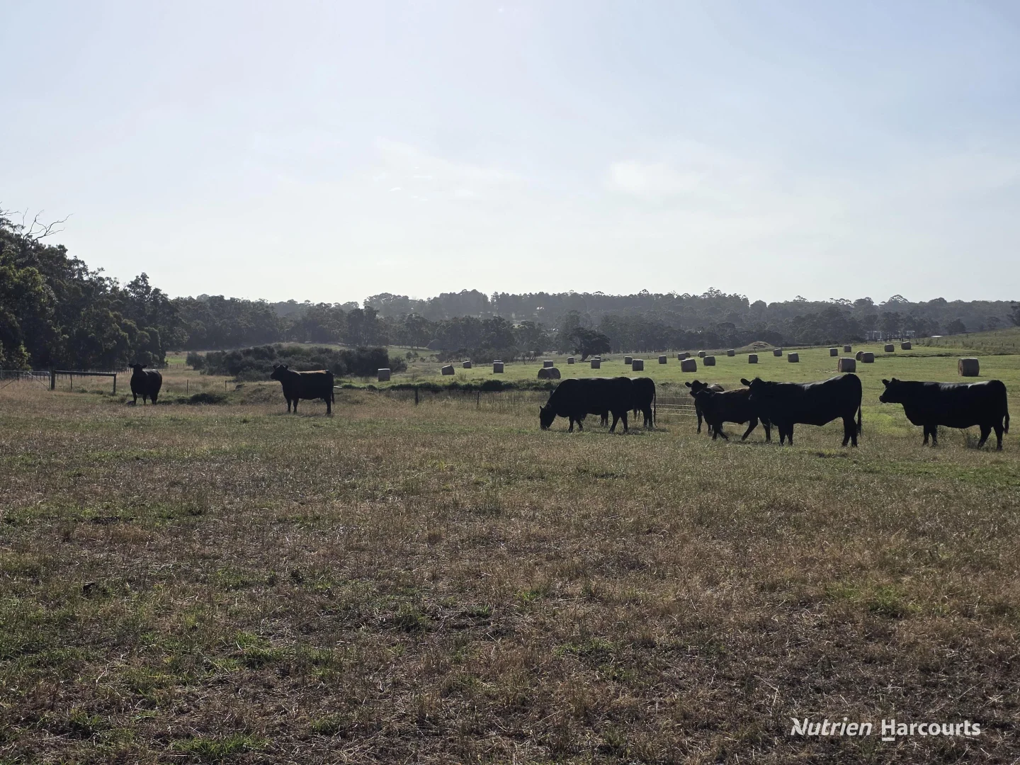 Additional image 30 of 1459 Millbrook Road, King River WA 6330