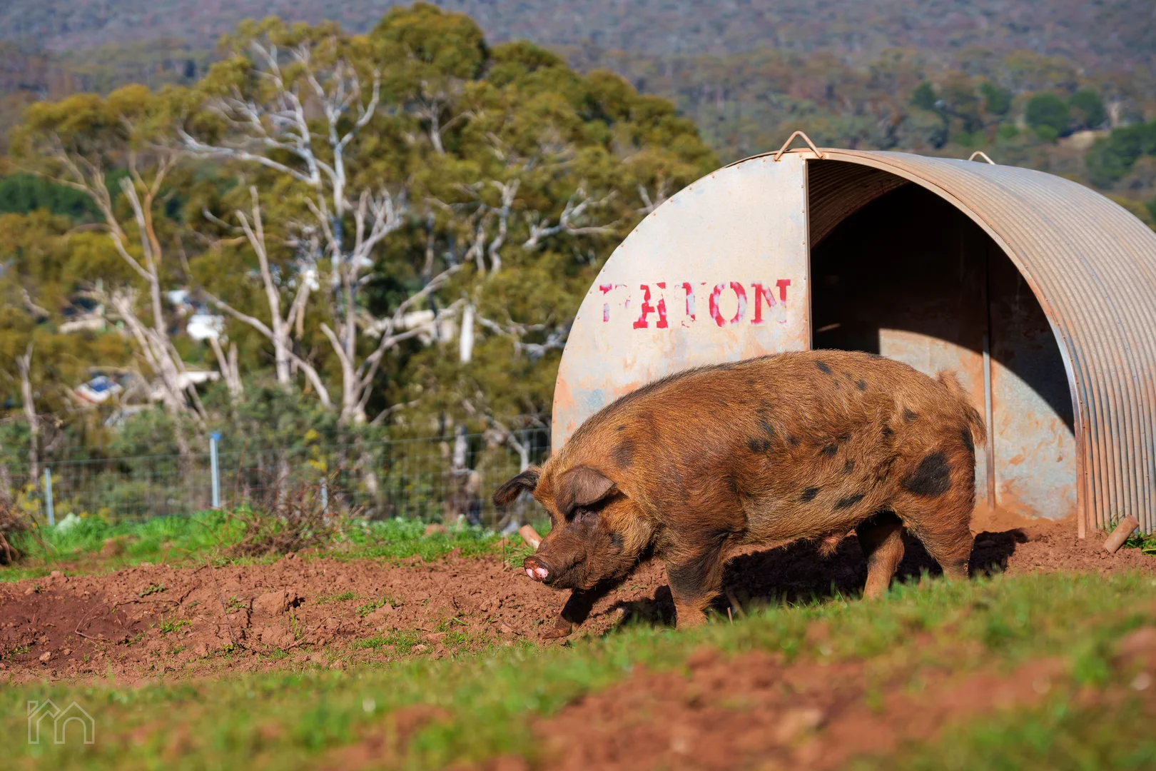Additional image 30 of 178 Mannings Road, Elevated Plains VIC 3461