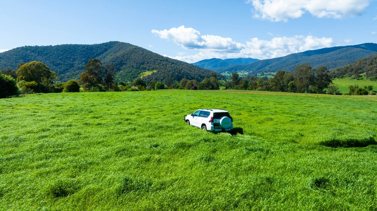 Additional image 7 of 3082 Omeo Highway, Tallandoon VIC 3701