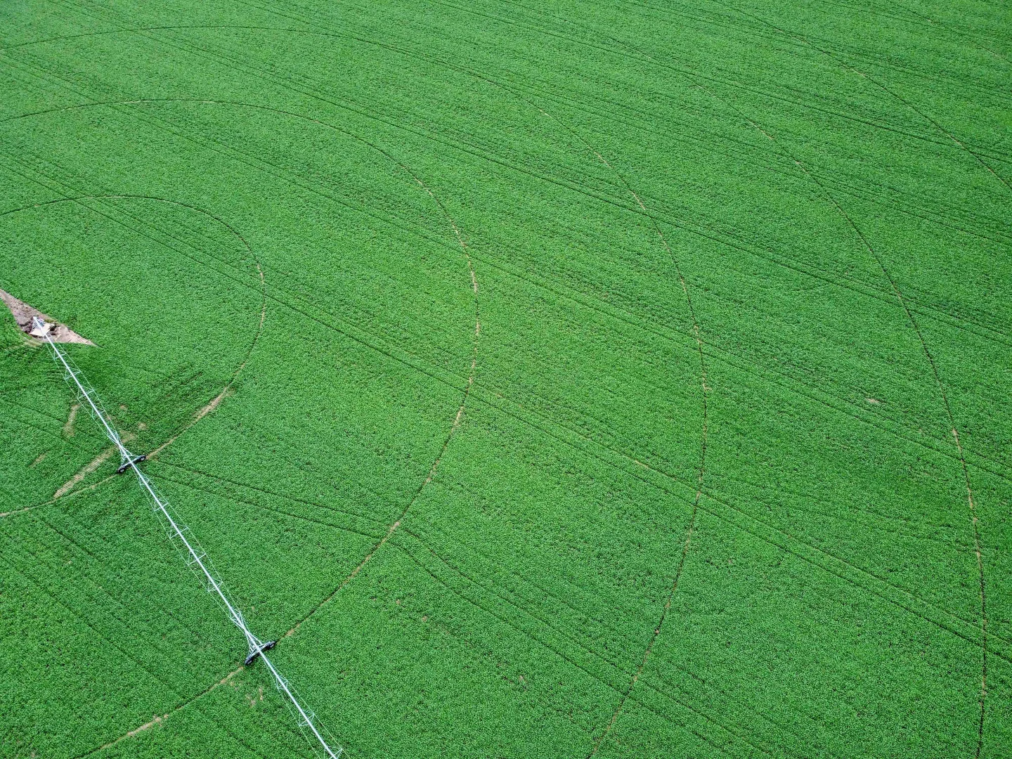 Additional image 8 of Winlaton VIC 3585