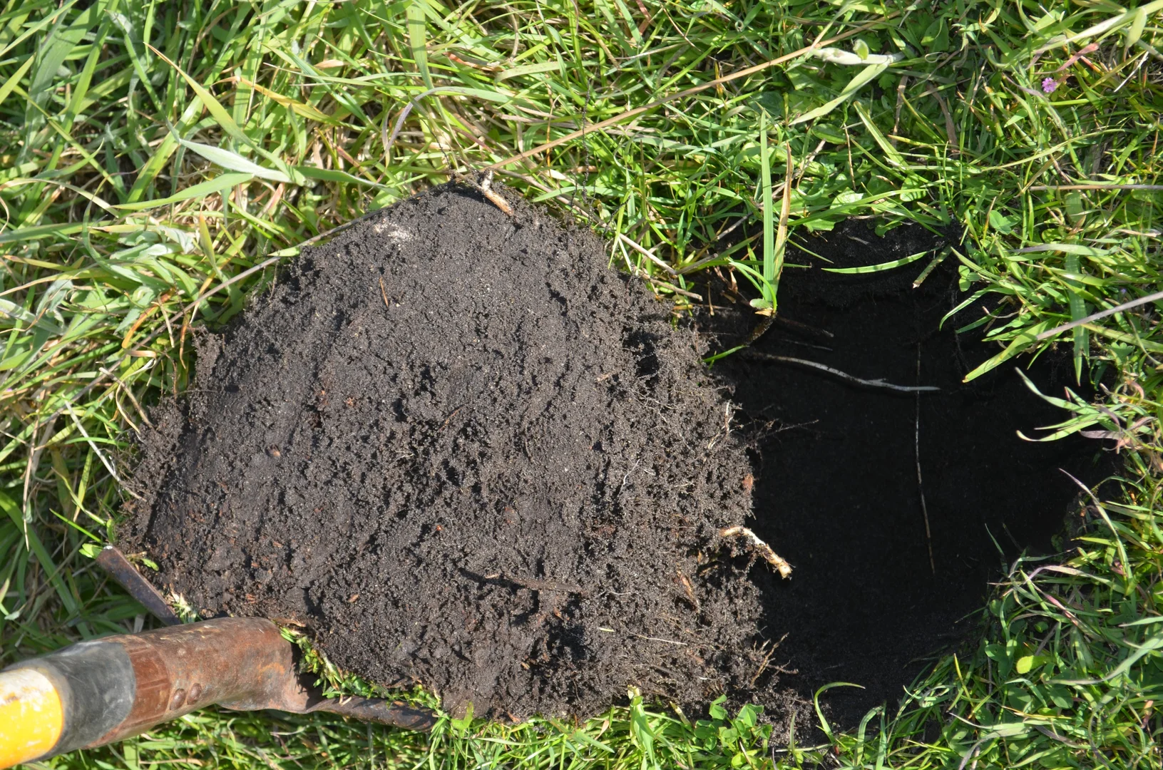 Additional image 6 of Lot 2 & 32 Southern Ports Highway, Robe SA 5276