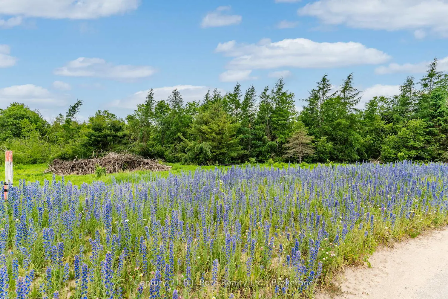 Additional image 7 of 14 Greenlaw Court