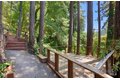 Additional image 46 of 17356 Old Monte Rio Rd, Guerneville, CA, 95446
