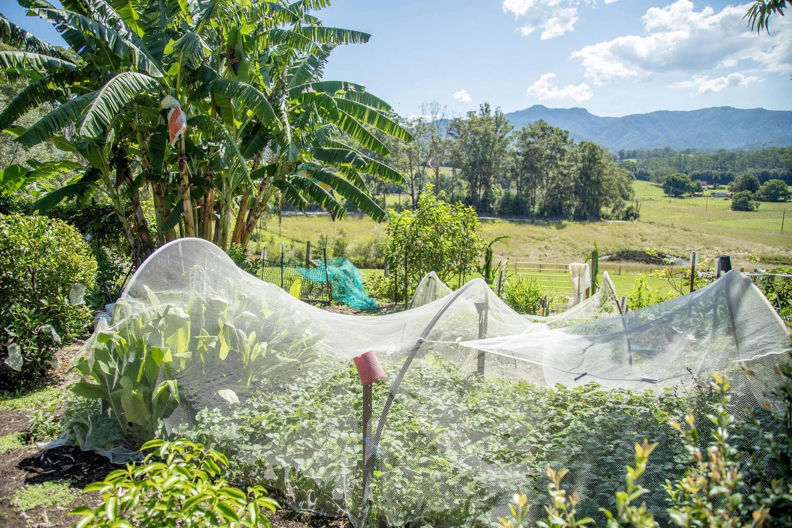 Additional image 25 of 1694 Comboyne Road, Killabakh NSW 2429