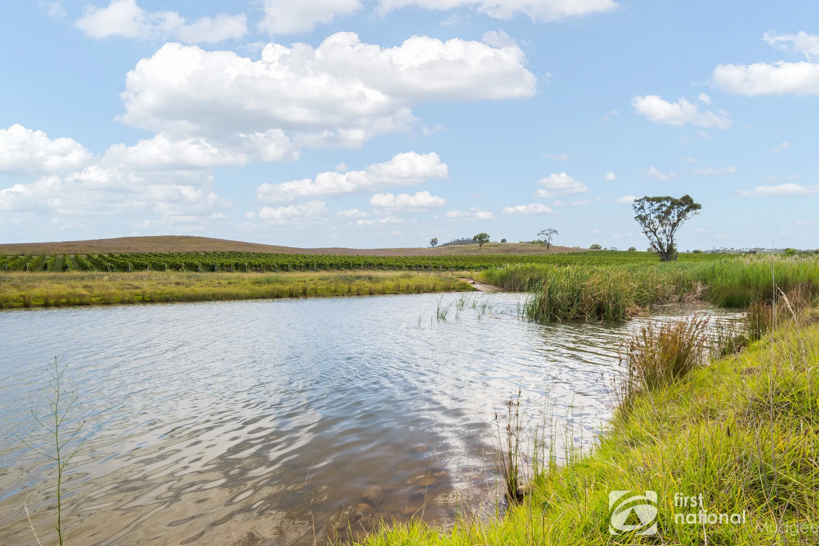 Additional image 4 of 46 Shiraz Drive, Gulgong NSW 2852