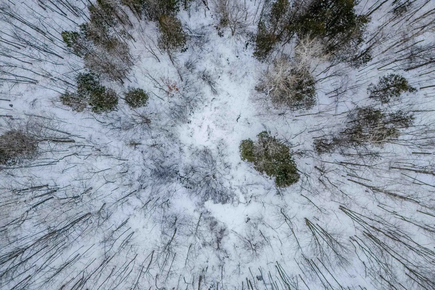 Additional image 19 of Lot Concession 10 Road