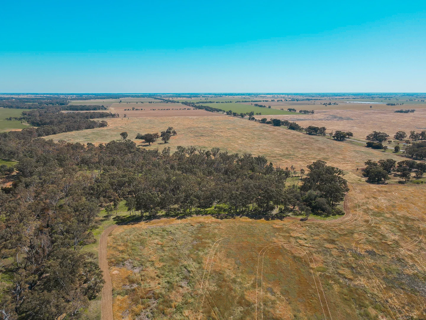 Additional image 15 of Teddywaddy VIC 3527