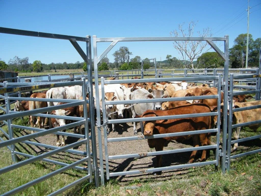 Additional image 72 of Woodford QLD 4514