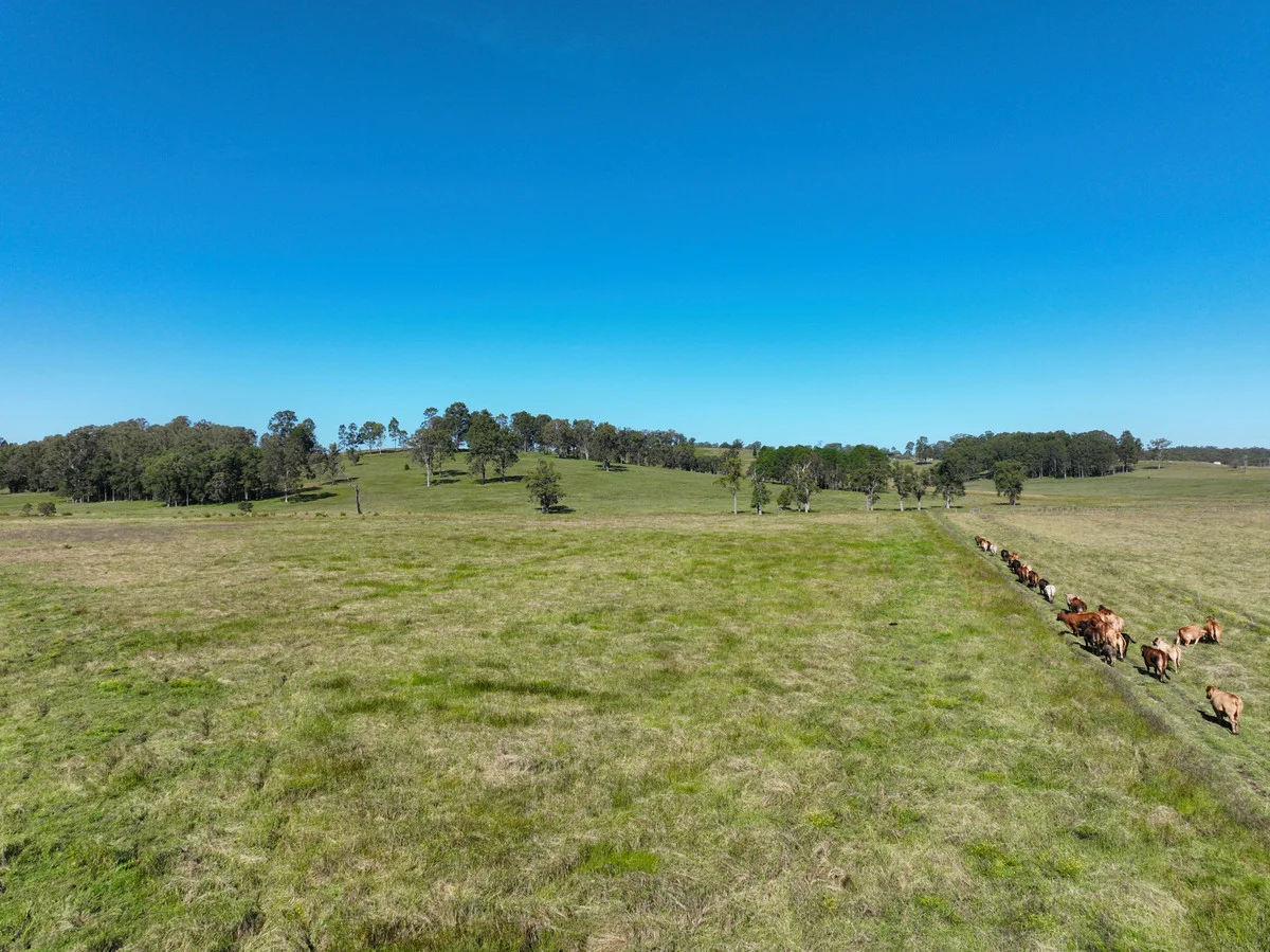 Additional image 8 of 200 Dobies Bight Road,, Dobies Bight NSW 2470