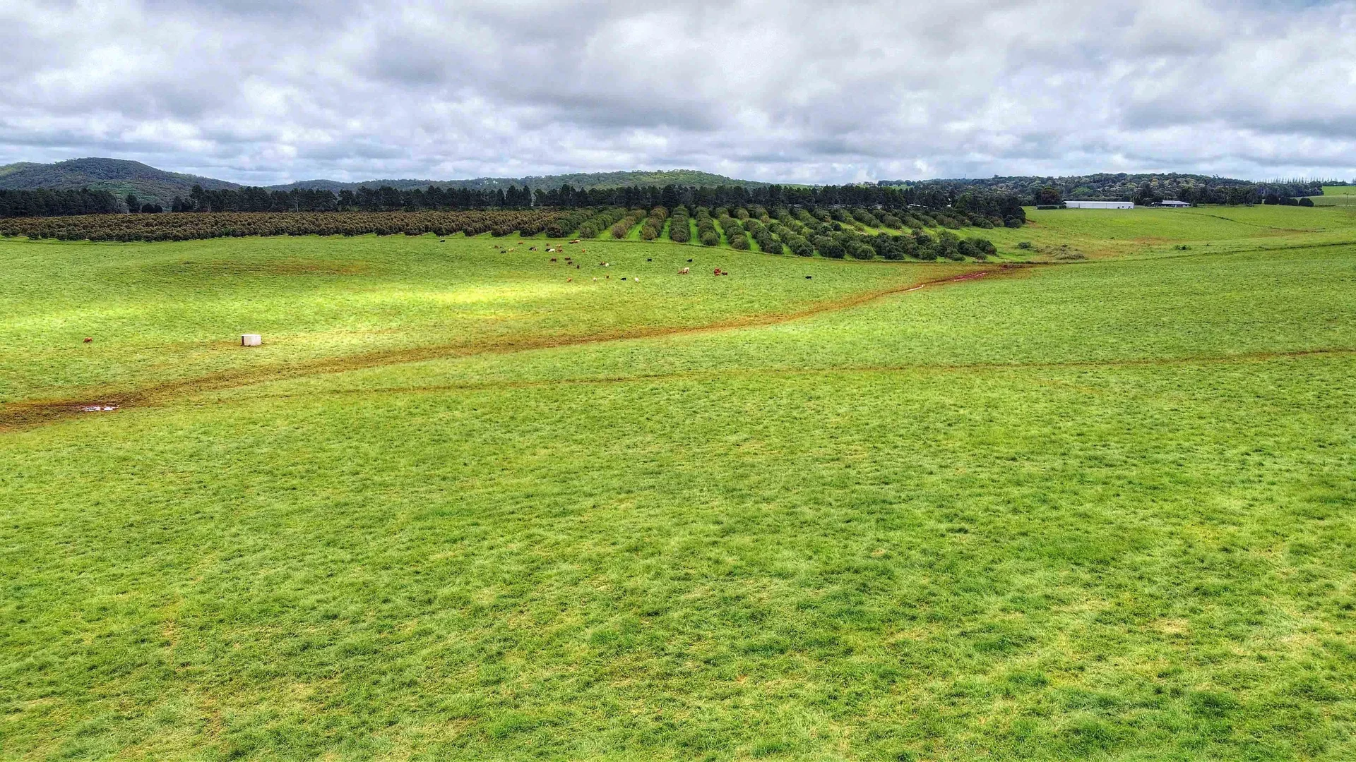 Additional image 6 of Evelyn QLD 4888