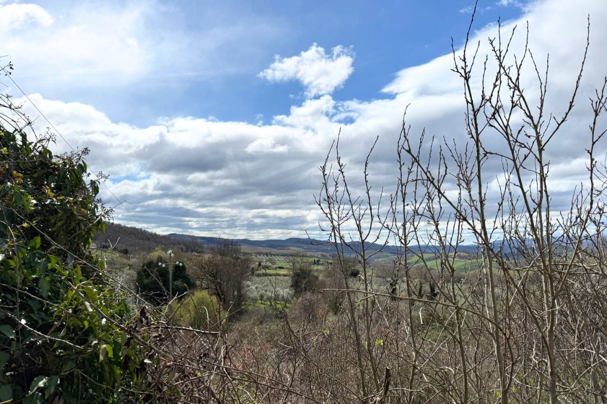 Additional image 8 of San Casciano dei Bagni (Siena)