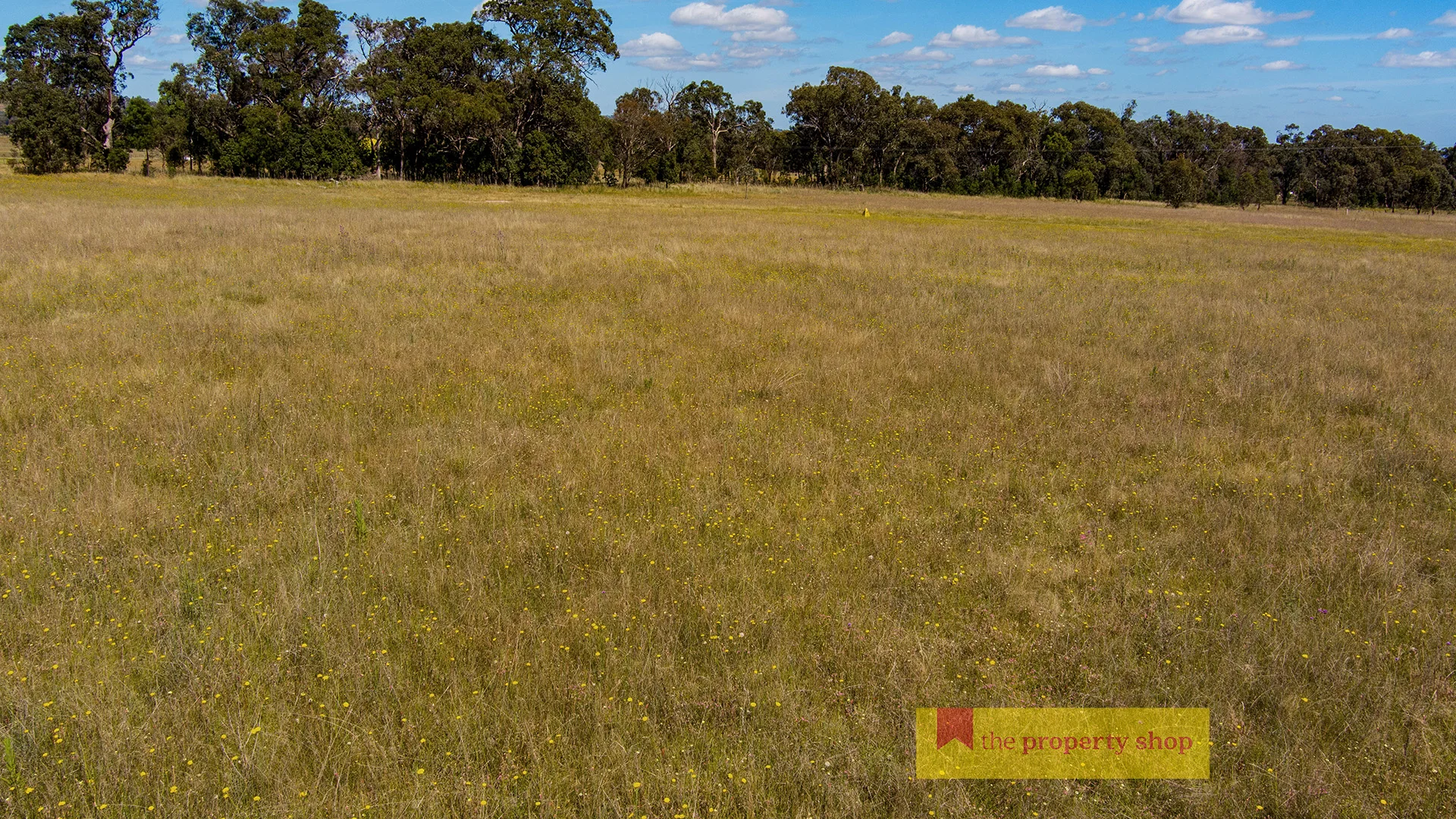 Additional image 4 of 1040 Black Springs Road, Mudgee NSW 2850