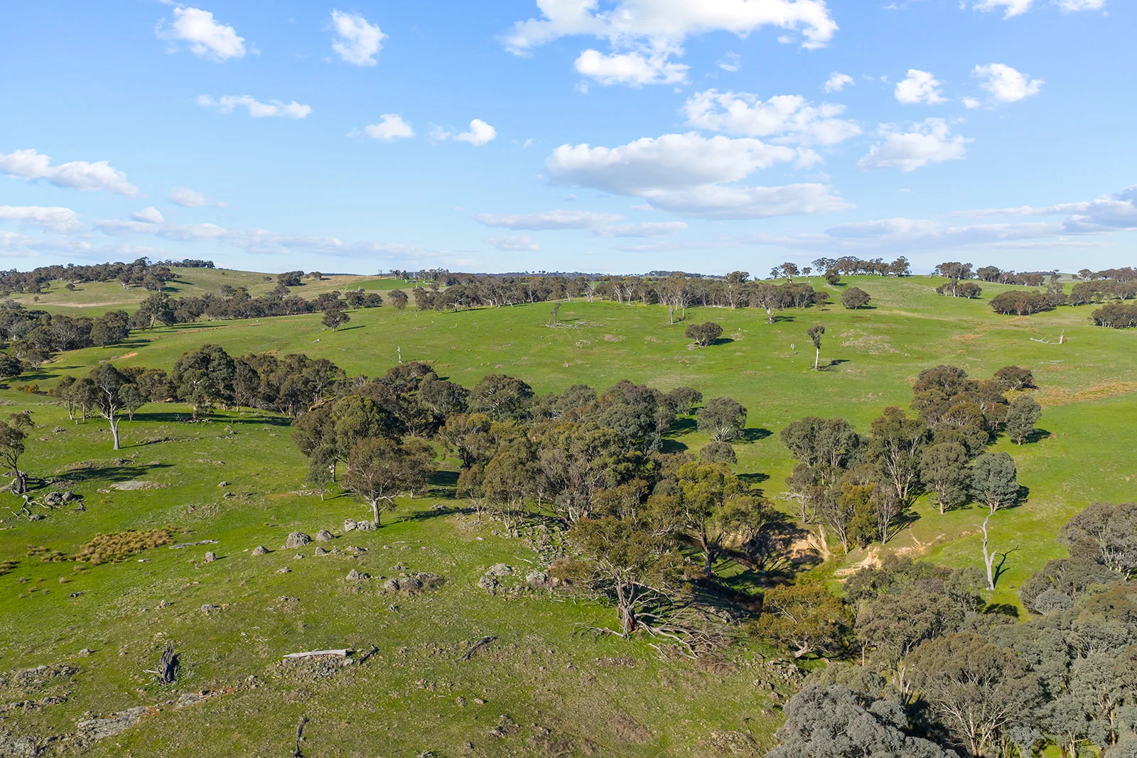 Additional image 27 of 1432 Lachlan Valley Way, Laverstock NSW 2582