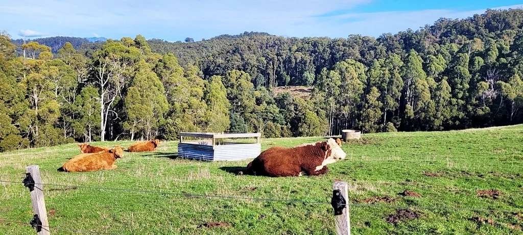 Additional image 11 of 229 Melrose Road, Aberdeen TAS 7310