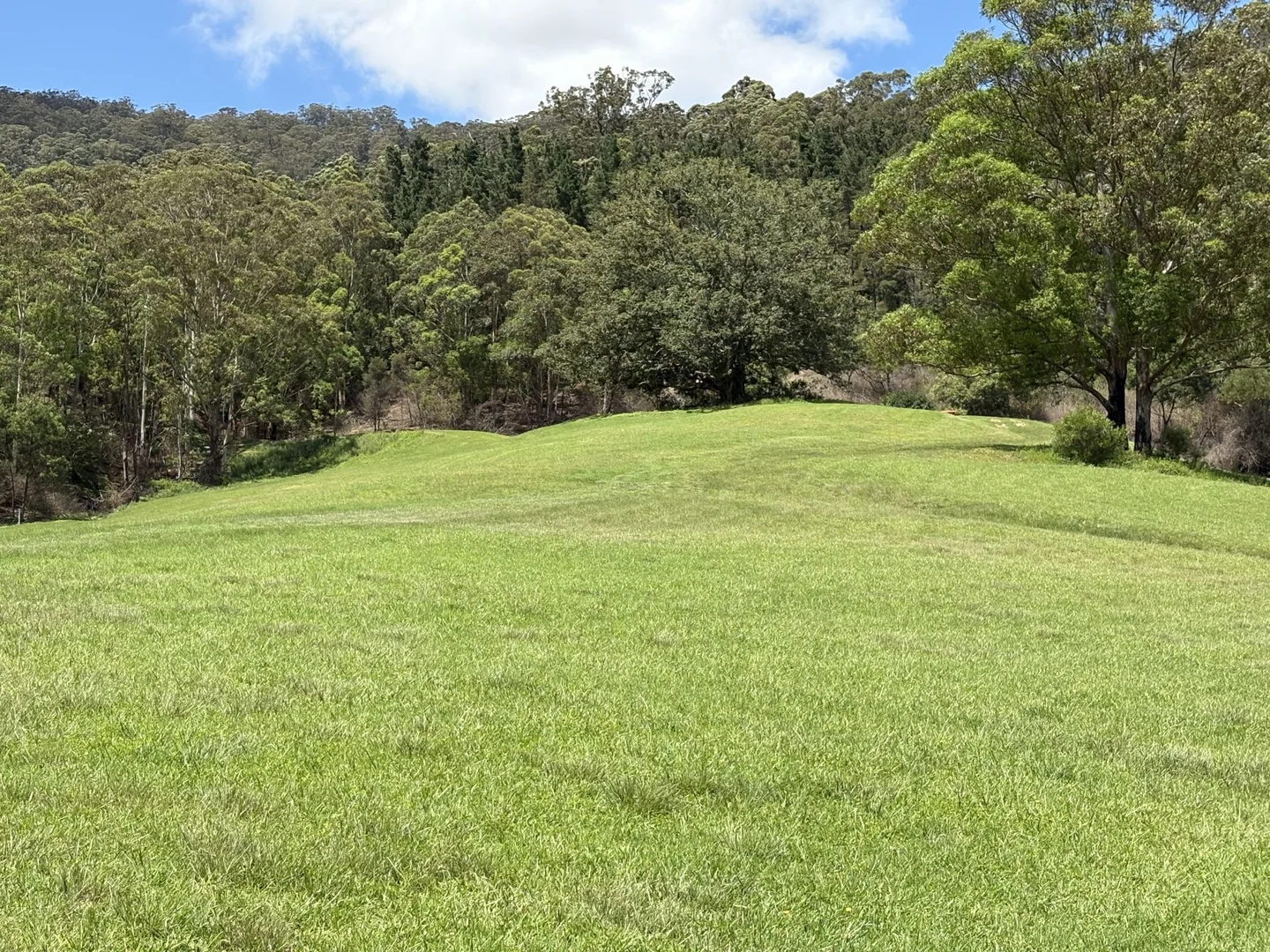 Additional image 18 of 65c Marden Lane, Kangaroo Valley NSW 2577