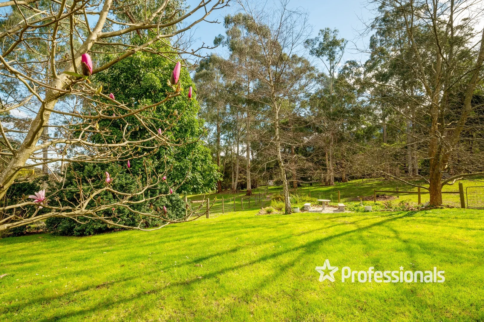 Additional image 18 of 32 Wonga Road, Millgrove VIC 3799