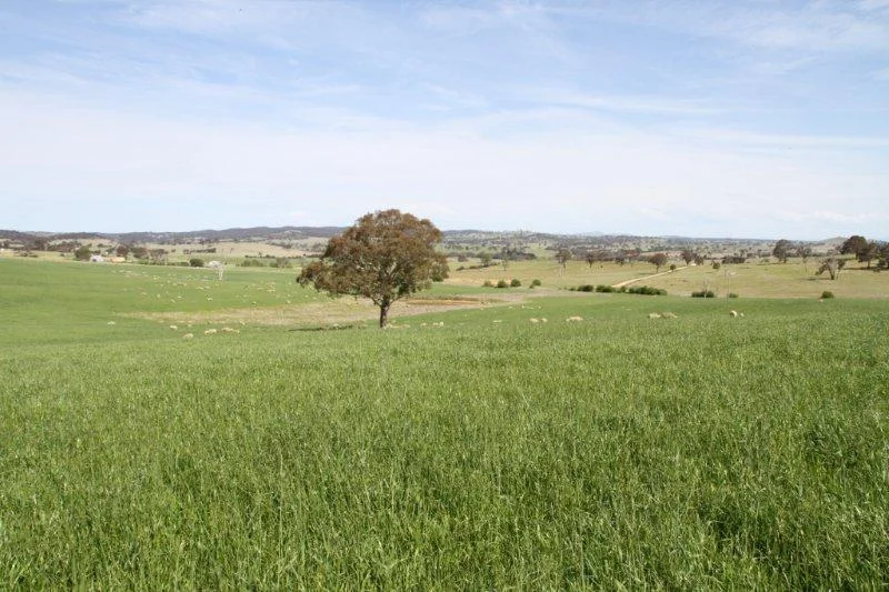 Additional image 8 of 3/83 Yass Valley Way, Manton NSW 2582