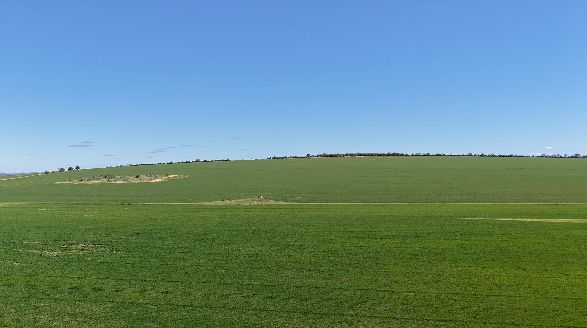 Additional image 17 of Quairading South Road, Dangin WA 6383