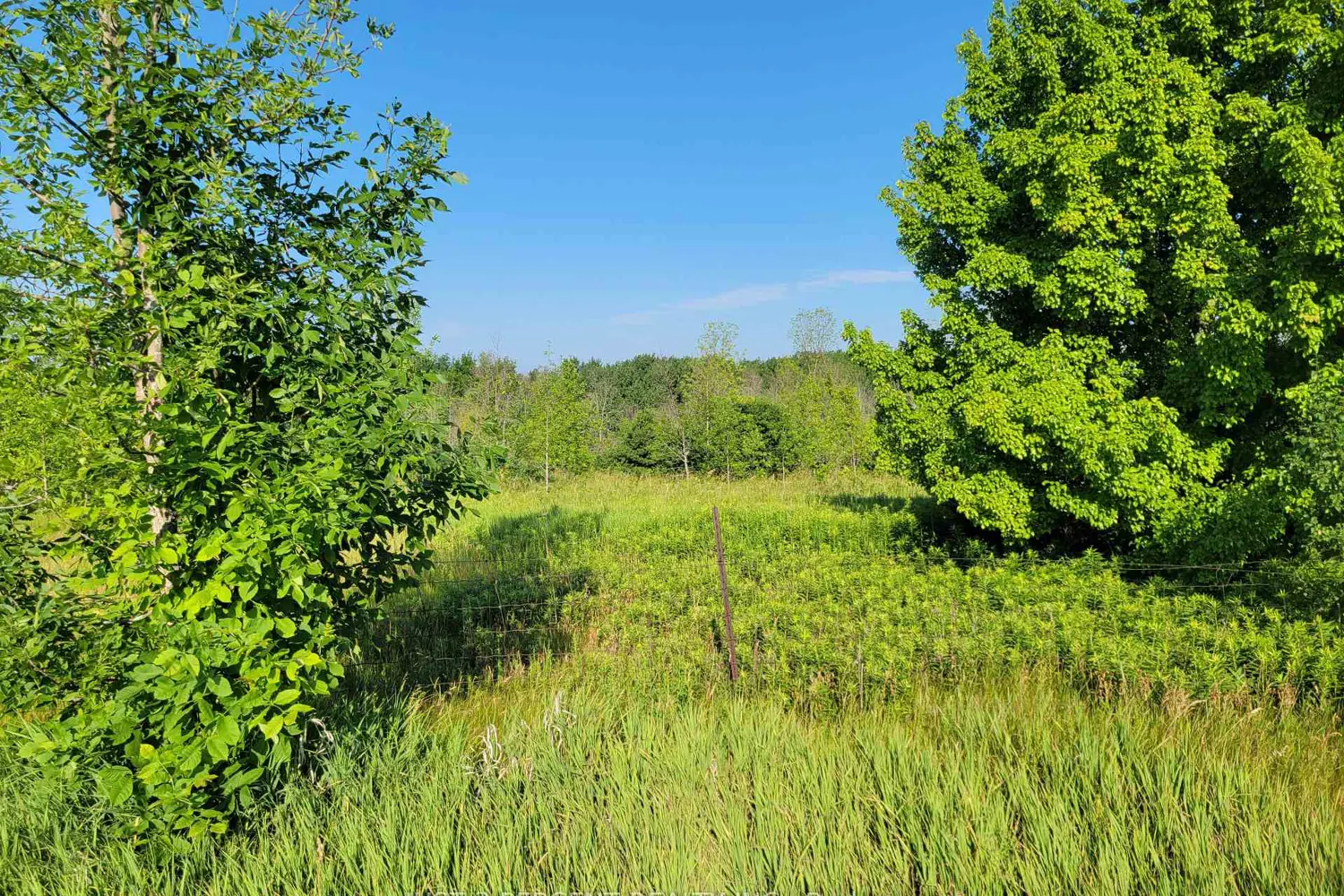 0 Curtis Point Road photo 4