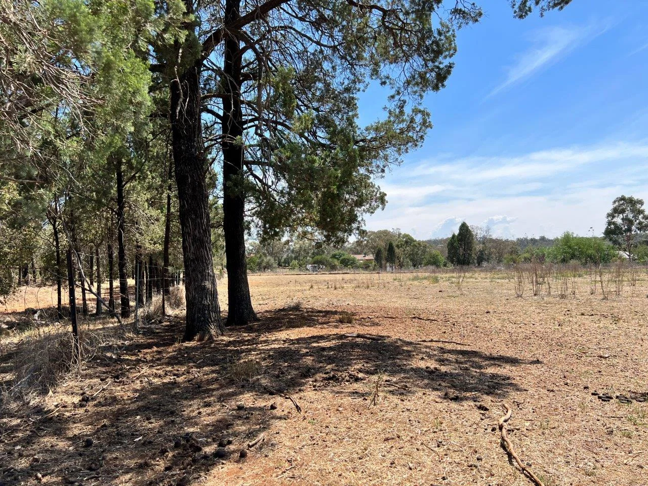 Additional image 2 of 46 Payne Street, Geurie NSW 2818