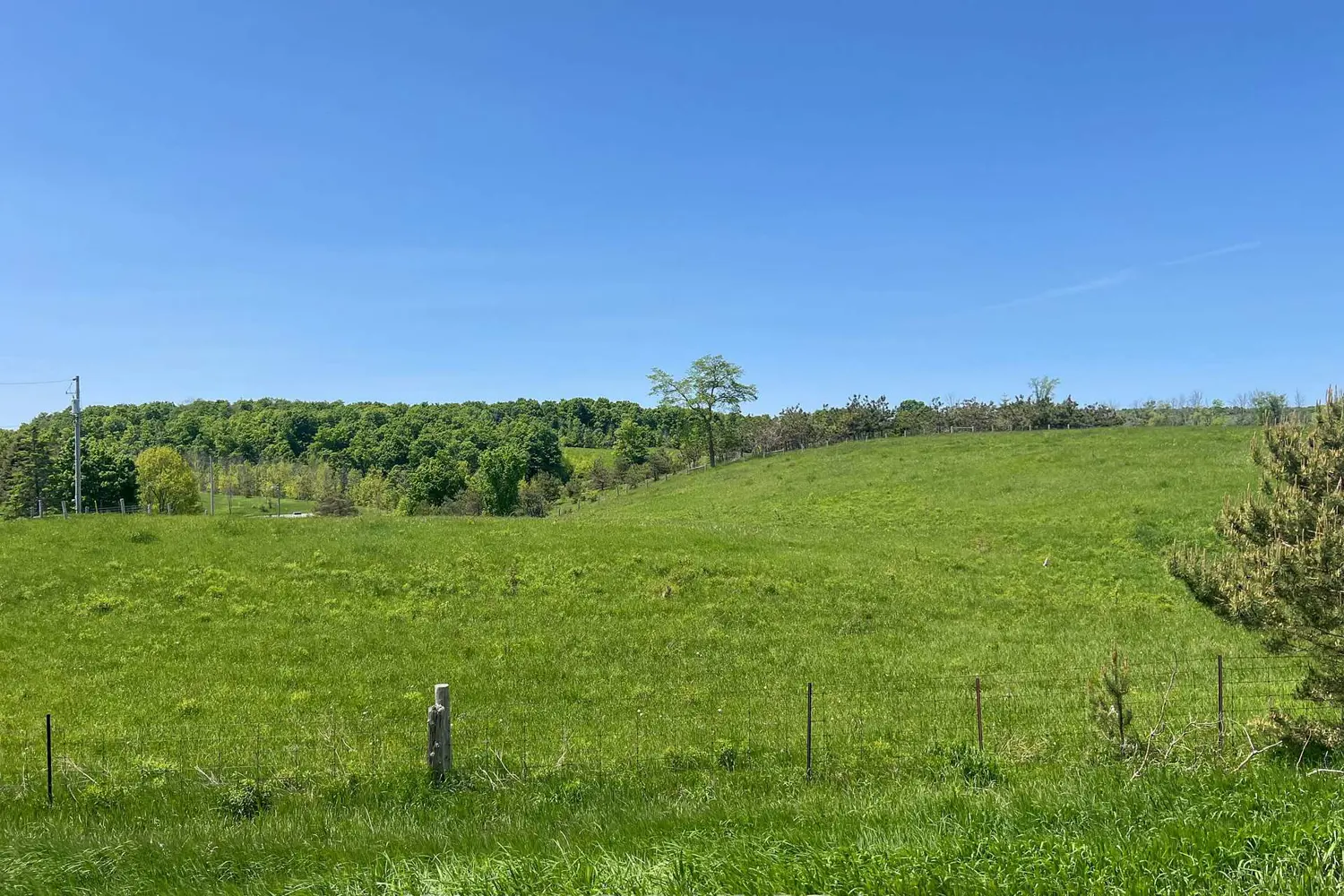 Additional image 8 of Pt E 1/2 Lot25 Conc 4 Ehs Pt 1, Pl 7R6861 Town Of Mono St, Mono Street