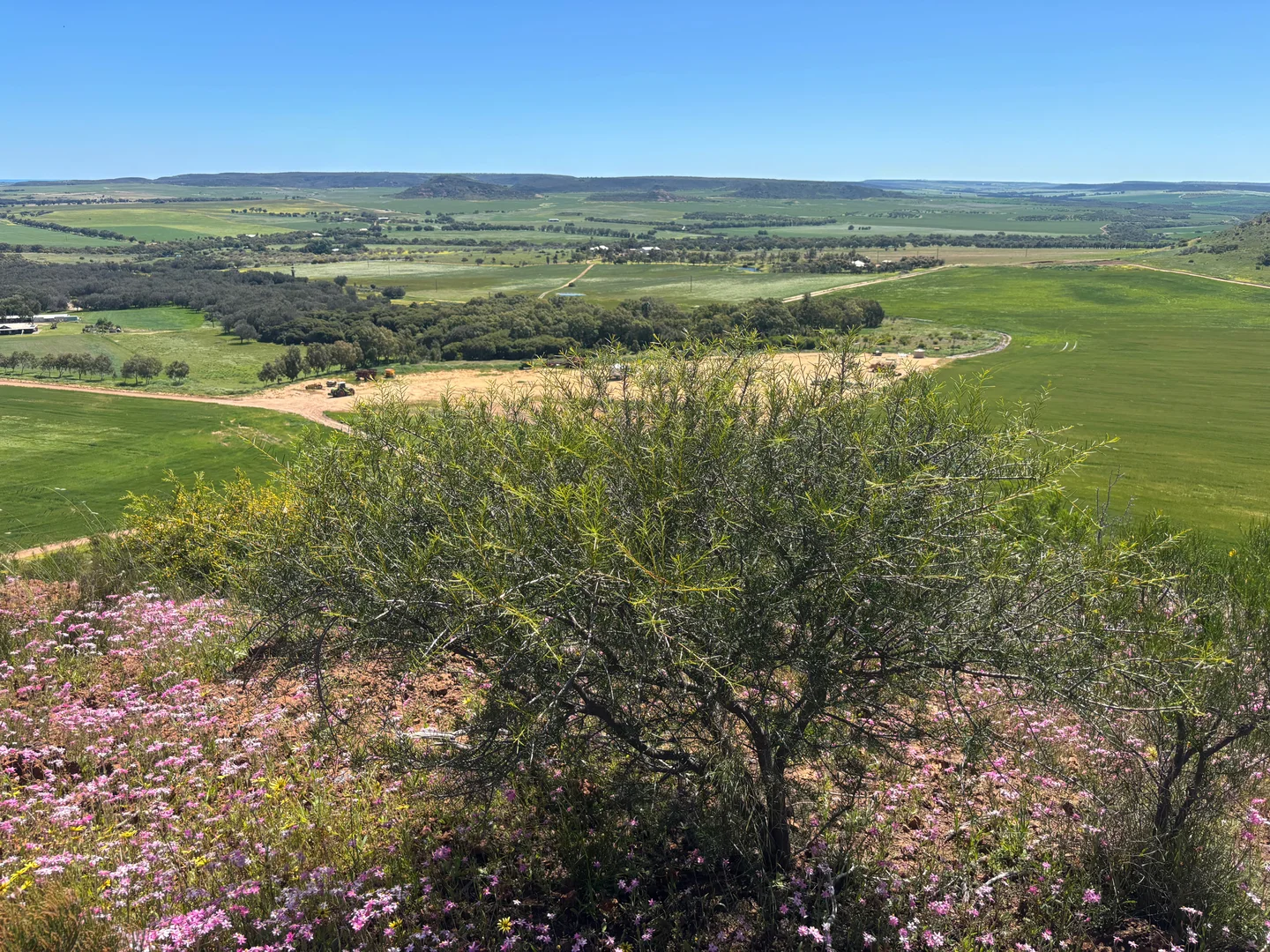 Additional image 11 of 9500 Chapman Valley Road, Narra Tarra WA 6532