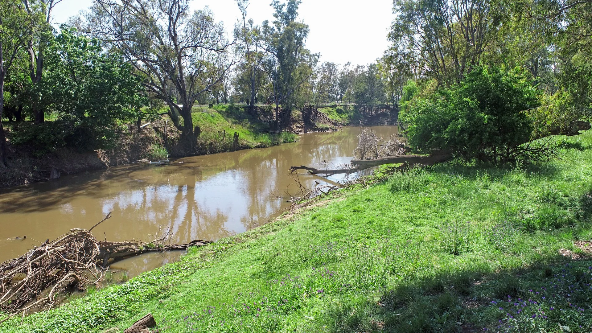 Licence 617789 Wandary Lane, Forbes NSW 2871