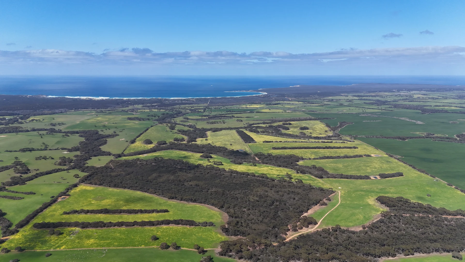 Additional image 17 of 958 Crabbs Road, Newland SA 5223