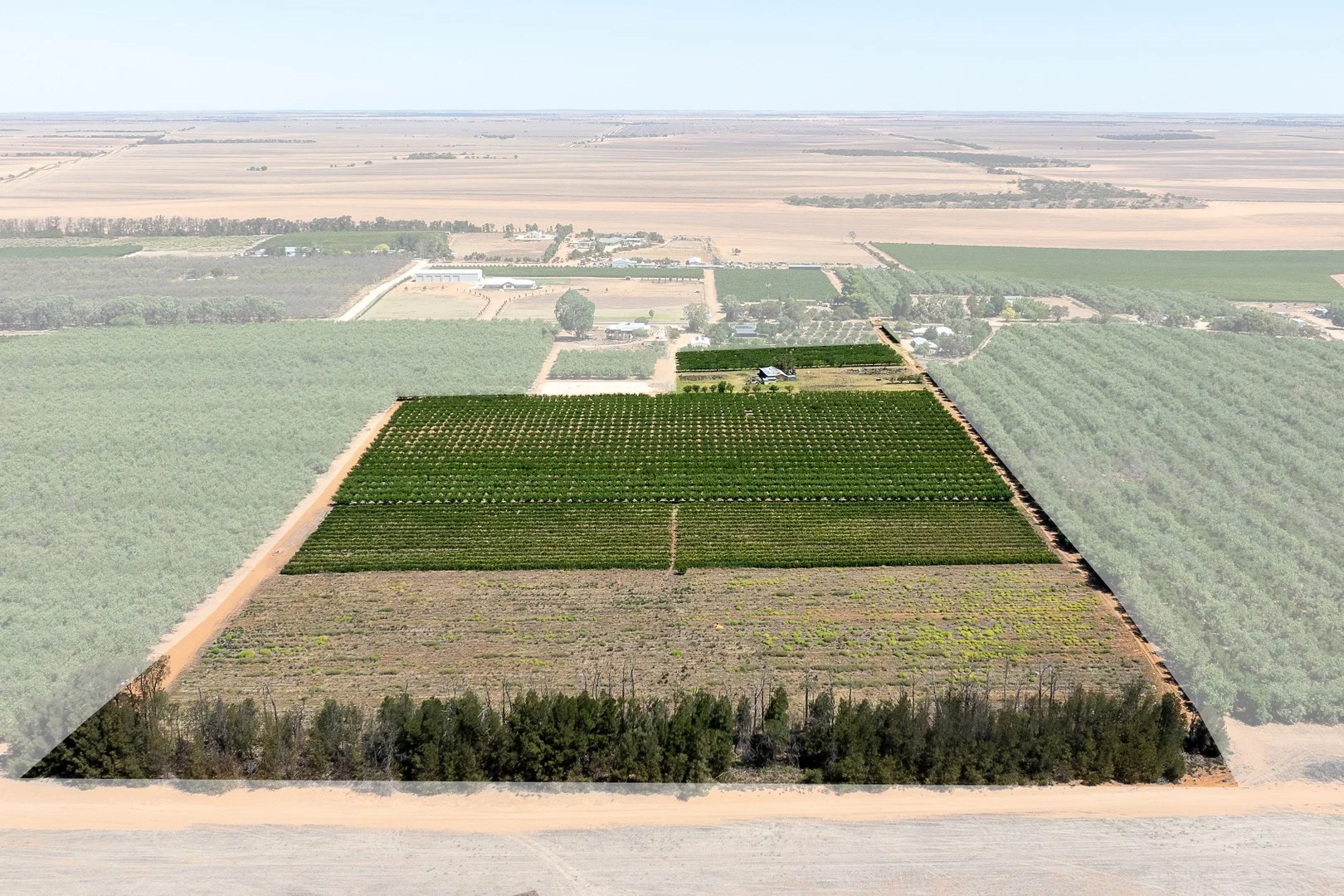 Additional image 3 of Lot 54 Newton Road, Loxton SA 5333