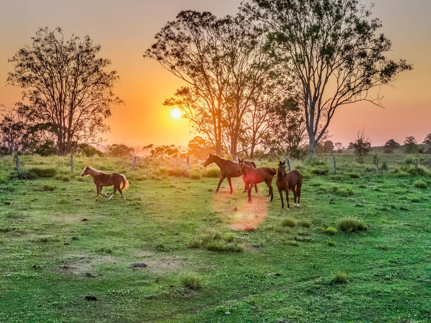 Additional image 11 of 100 Poole Road, Ruthven NSW 2480