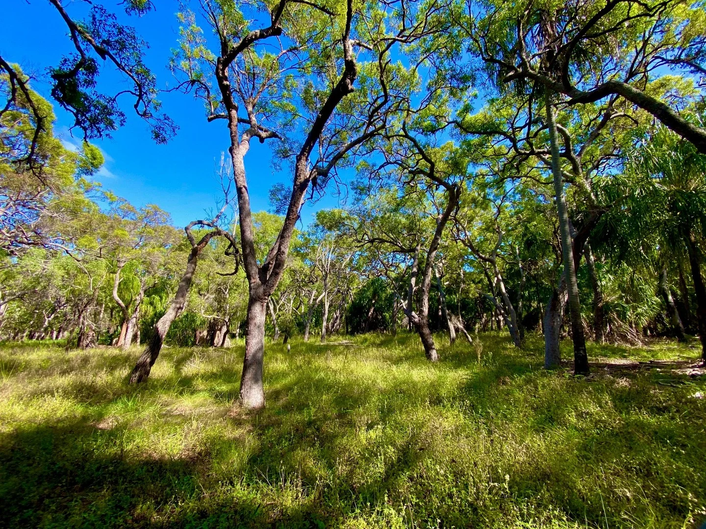 Additional image 5 of L 39 Bloodwood Ave, Agnes Water QLD 4677