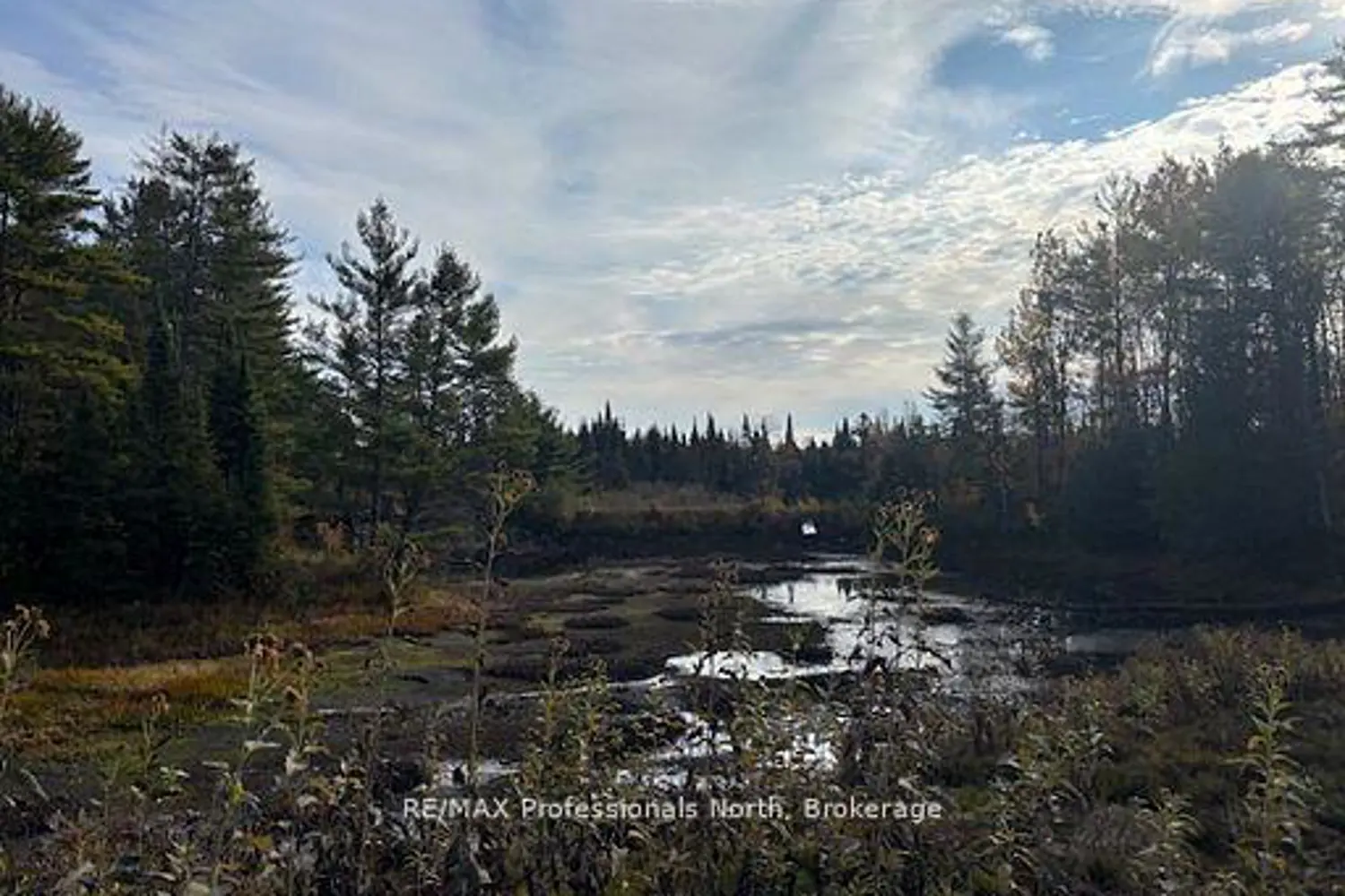 Additional image 11 of 4326 County Road 121 Road