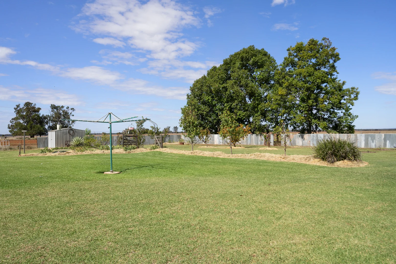 Additional image 8 of 4229 Bobadah Road, Bobadah NSW 2877