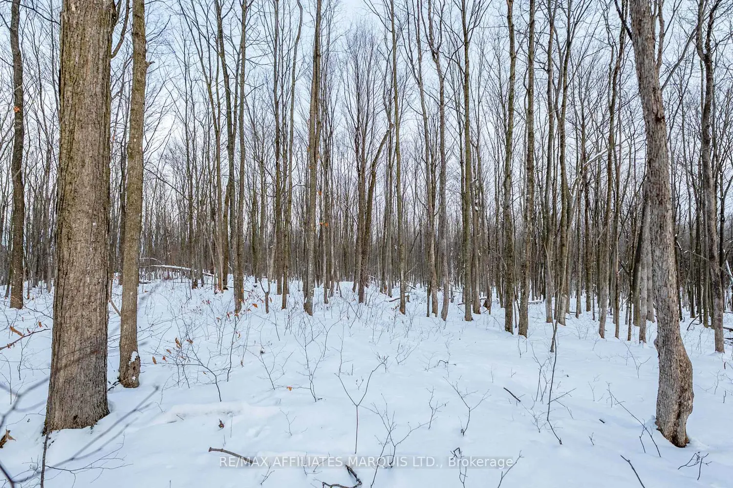 Additional image 14 of Lot Concession 10 Road